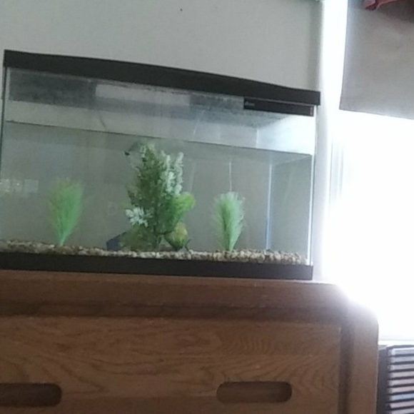 Fishtank - Picture 2 of 2
